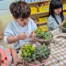 송림 초등학교 병설 유치원 이미지