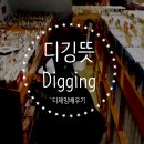 스튜디오digging