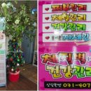 대연테라토피아 - 부평구 십정동 | 대연테라토피아