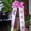 사단법인 춘천역사문화연구회 이미지