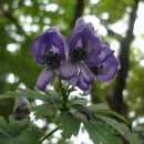 바다산장 이미지