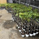 신하농장 이미지