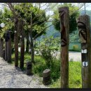 강원칡냉면 이미지