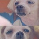 수해복