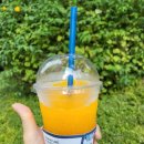 슈퍼모델다방 이미지