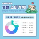 뱅크샐러드 가계부 20대 직장인 11월 소비기록
