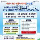 행사랑