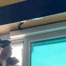 청주중앙중학교 이미지