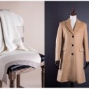 (주)쉘톤인터내셔날 이미지