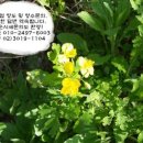 건설면허114 이미지