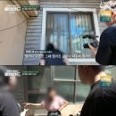 할머니와 할아버지와 함께 쓰레기집에서 살던 18마리의 강아지들 이미지