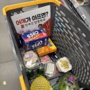 메리도그하우스 | 치앙마이 분위기의 감성가득 양평 애견동반 숙소 [메리도그하우스] 내돈내산 🌳