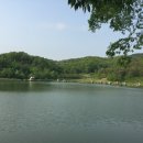 비들지낚시터 이미지