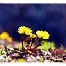 피아노무도장 이미지