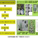 귀농영농 건강 정보▒▒식물에서 혈전용해제(t-PA) 생산 가능하다 이미지