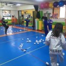 백호용인대합기도 이미지