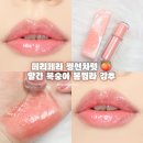 진해구 ⓒ-22 | 페리페라 무드 글로이 틴트 쩡신차렷 봄웜라 추천 복숭아 립