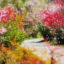 오늘은 선물 이미지