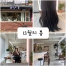광교 미용실, 염색 맛집 13월의 봄 머리 받은 후기