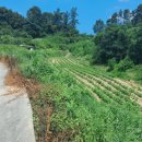 엄정면사무소 이미지