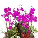 구월4동-15 이미지