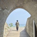 꽃 보러 떠나는 세계여행(2) | 엄마와 떠나는 묵호당일치기 여행
