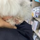 세림동물병원 이미지