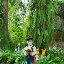 (주)나비원 이미지