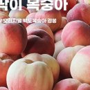하늘꽃농원