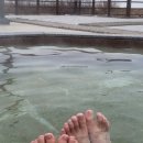 구락다복 네이버블로그