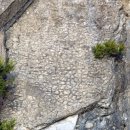 스트로마톨라이트 이미지