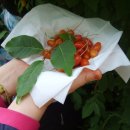 이쁜포리 이미지