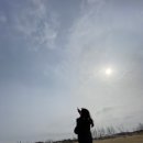 정안닭집 - 파주시 문향로 57 | 정안닭집