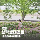 공임일번가 삼락점 창대카서비스 | 부산 수국 6월 개화 실시간 삼락생태공원 위치 주차 안내