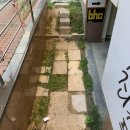 호식이 두마리 치킨 남천점 이미지