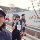 경감로3(남) | [2박3일 경주 벚꽃 여행] 01. 2025 경주 벚꽃 마라톤 in 보문호