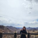 몽골 테를지 아리야발 사원 후기｜코끼리 사원, 108계단, 테를지 명상 여행 코스 추천