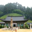 켄싱턴평창사우나 티스토리