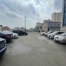 청년다방 미장점 이미지