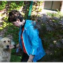 두미목장 이미지