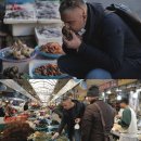 아이돌수산 이미지