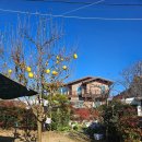 라온모텔 | 경주펜션 반려견 동반 부부의 힐링 숙소 라온펜션 은가비 객실 후기