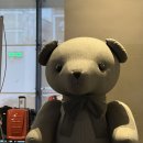 806 | 제주공항 근처 숙소 신라스테이 제주 스탠다드더블룸 806호 숙박후기