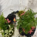 매곡목장 이미지