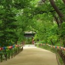 직지성보박물관 이미지