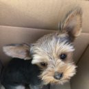 청운119지역대 이미지