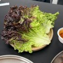 정재영족발보쌈(원미구점) | 🍖 부천 중동 정재영 족발보쌈! 족보세트(족발+보쌈)로 든든하게 야식 뿌셨어요