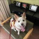 갬성드 애월 이미지