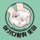 맘마수제간식 | 집에서 만드는 수제 피그미 간식, 햄찌맘마 이유식 후기