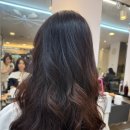 HJ메디칼 이미지